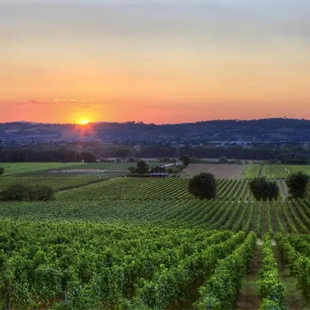 Poggio Alle Vigne 토르지아노