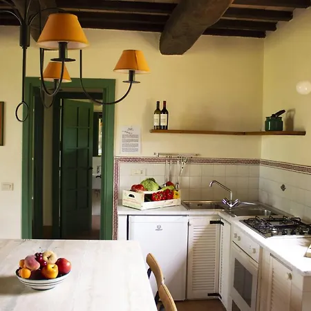 Poggio Alle Vigne *