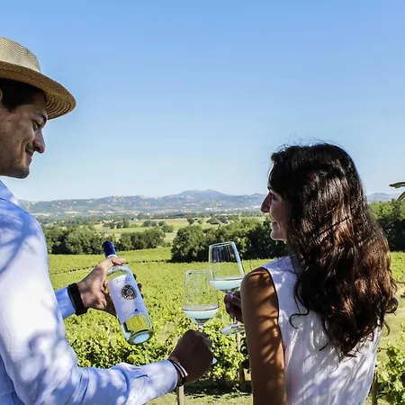 Poggio Alle Vigne Country house