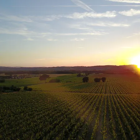 Poggio Alle Vigne 컨트리하우스 토르지아노