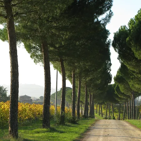 Landhaus Poggio Alle Vigne