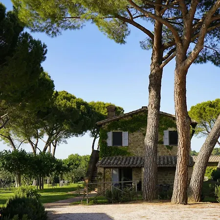 Poggio Alle Vigne *