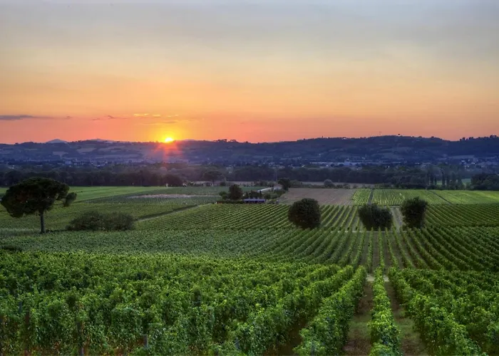 Poggio Alle Vigne Torgiano