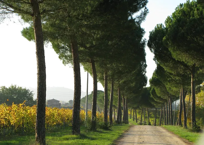Casa de Campo Poggio Alle Vigne